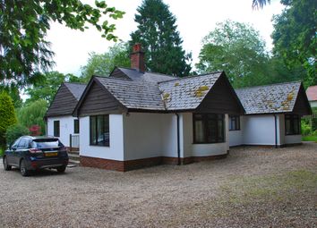 Thumbnail Detached house to rent in Beechwood Lane, Burley, Hampshire