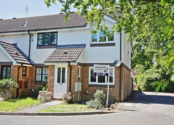 Thumbnail Semi-detached house to rent in Bloomfield Close, Knaphill, Woking