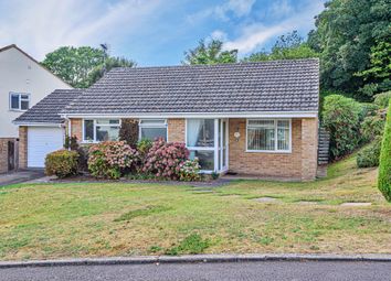 Sidmouth - Detached bungalow for sale           ...