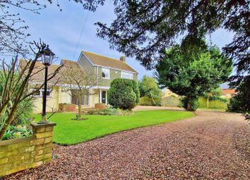 Thumbnail 4 bed detached house for sale in The Street, Kirby-Le-Soken, Frinton-On-Sea