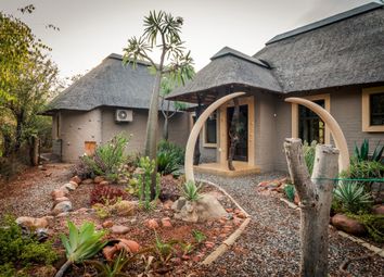 Thumbnail 3 bed detached house for sale in 345 Knoppiesdoring Street, Hoedspruit Wildlife Estate, Hoedspruit, Limpopo Province, South Africa