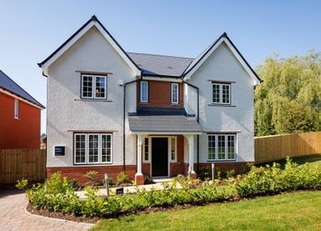 Thumbnail Detached house for sale in School Road, Elmswell, Bury St. Edmunds