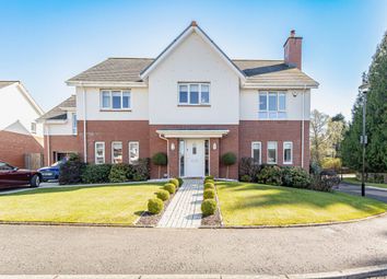 Thumbnail Detached house for sale in Ardnablane, Dunblane