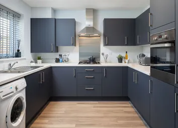 Showhome Photography