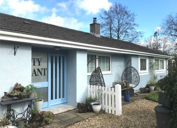 Thumbnail Bungalow for sale in Cilycwm, Llandovery, Carmarthenshire