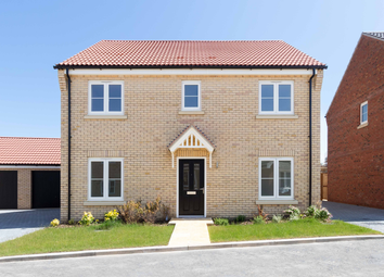 Thumbnail Detached house for sale in Lowestoft Road, Hopton, Great Yarmouth