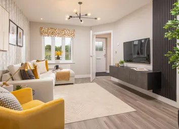 Showhome Photography