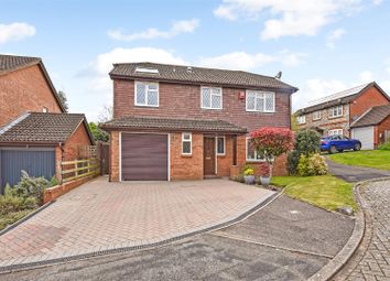 Thumbnail Detached house for sale in Primrose Way, Romsey, Hampshire