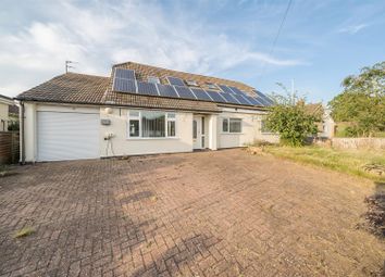 Thumbnail Detached bungalow for sale in Grange Lane, Bromham, Bedford