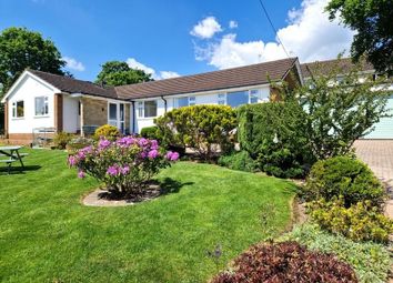 Thumbnail Bungalow for sale in Orchard Close, Lympstone