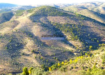 Thumbnail Land for sale in Property 640 000 Sq Mt, Almond Trees, Olive Trees, Oak, Alfândega Da Fé (Parish), Alfândega Da Fé, Bragança, Norte, Portugal