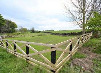 Thumbnail Land for sale in Land At Esperley Lane, Bishop Auckland, County Durham