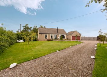 Thumbnail 3 bed bungalow for sale in Glenogil, Forfar