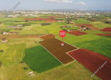 Thumbnail Land for sale in Liopetri, Famagusta, Cyprus