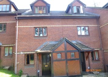 Thumbnail Terraced house to rent in Argyll Mews, Lower Argyll Road, Exeter