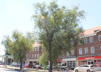 Thumbnail 3 bed flat for sale in Hampton Court Parade, East Molesey