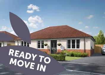 The Liscombe - Ready To Move In 1