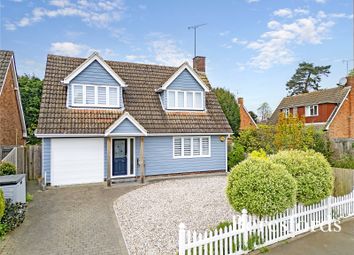 Thumbnail Detached house for sale in Romans Way, Writtle