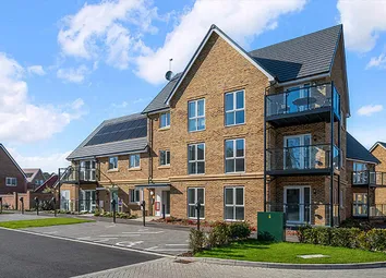 A Street Scene Of Holyrood House At Heatherwood Royal