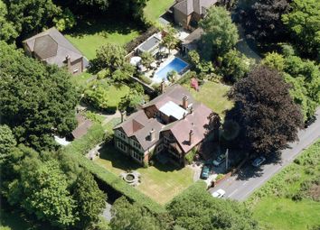 Ariel View
