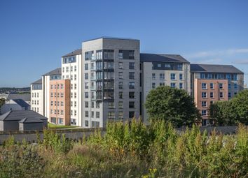 Thumbnail 2 bed flat for sale in "Kittiwake" at Park Road, Aberdeen