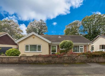 Thumbnail 3 bed detached bungalow for sale in The Paddocks, Llanyravon, Cwmbran