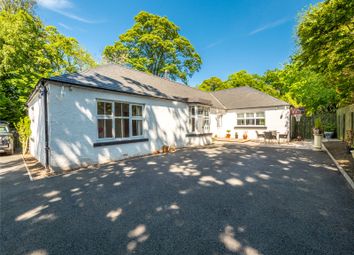 Thumbnail Bungalow to rent in Whitehouse Road, Edinburgh, Midlothian