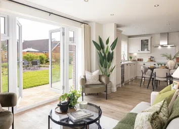Shenton Family Area Saxongreen