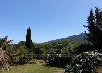 Thumbnail Land for sale in Laroque-Des-Albères, Pyrénées-Orientales, Languedoc-Roussillon