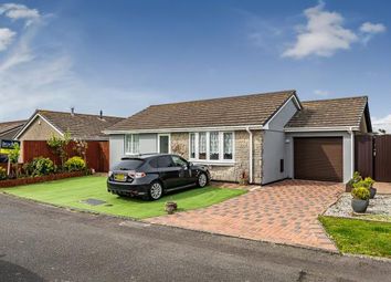 Thumbnail Detached bungalow for sale in Albertus Road, Hayle, Cornwall