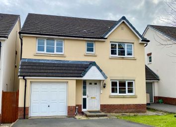 Thumbnail 4 bed detached house to rent in Clos Y Wern, Hendy, Pontarddulais, Swansea