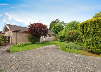 Property listing in Dorchester, Dorset