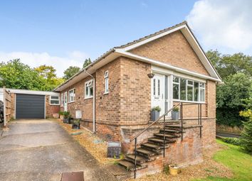 Thumbnail Detached bungalow for sale in Rosemary Drive, Bromham
