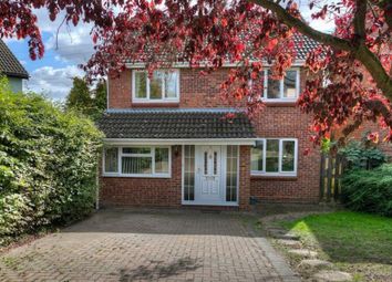 Thumbnail Property to rent in Cardinal Close, Colchester