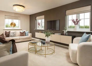 Showhome Photography