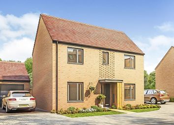 Thumbnail Detached house for sale in Roman Close, Northstowe, Cambridge