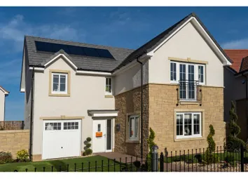 Showhome Photography