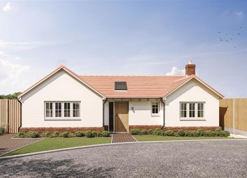 Thumbnail Detached bungalow for sale in Lodge Road, Ufford, Woodbridge