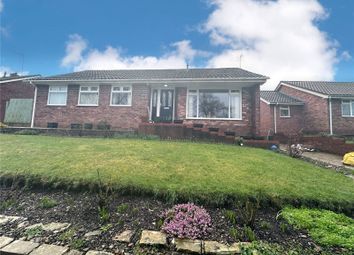 Thumbnail Bungalow for sale in Greenside, Mold, Flintshire