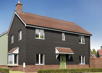 Dandara - Zoopla -