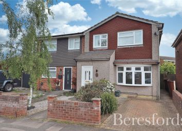 Thumbnail Semi-detached house for sale in Petunia Crescent, Chelmsford