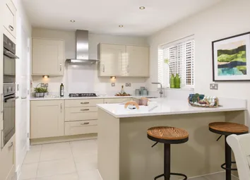 Showhome Photography
