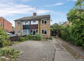 Thumbnail Semi-detached house for sale in Fornham Road, Bury St. Edmunds, Suffolk