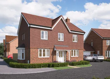 Ds04976 [Bh] 06 - Chestnut X413 Plot 37_Web