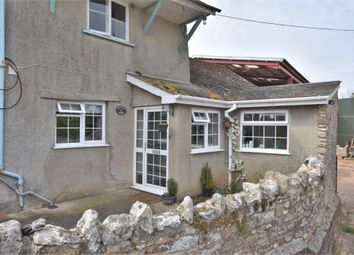 Thumbnail Flat to rent in Farway, Colyton, Devon