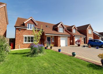 Thumbnail Detached house for sale in Christophers Meadow, West Butterwick