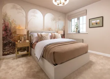 Showhome Photography