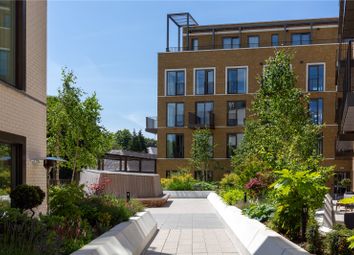 Communal Garden