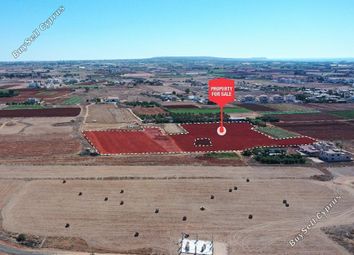 Thumbnail Land for sale in Liopetri, Famagusta, Cyprus