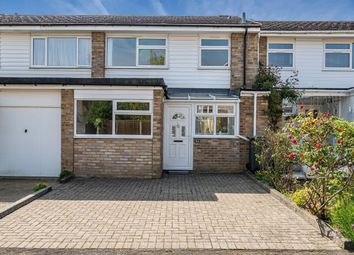 Thumbnail Terraced house for sale in Earle Gardens, Kingston Upon Thames